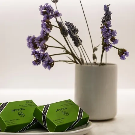 Σπίτι διακοπών My